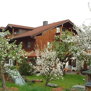  Apartment Wingen Deutschland